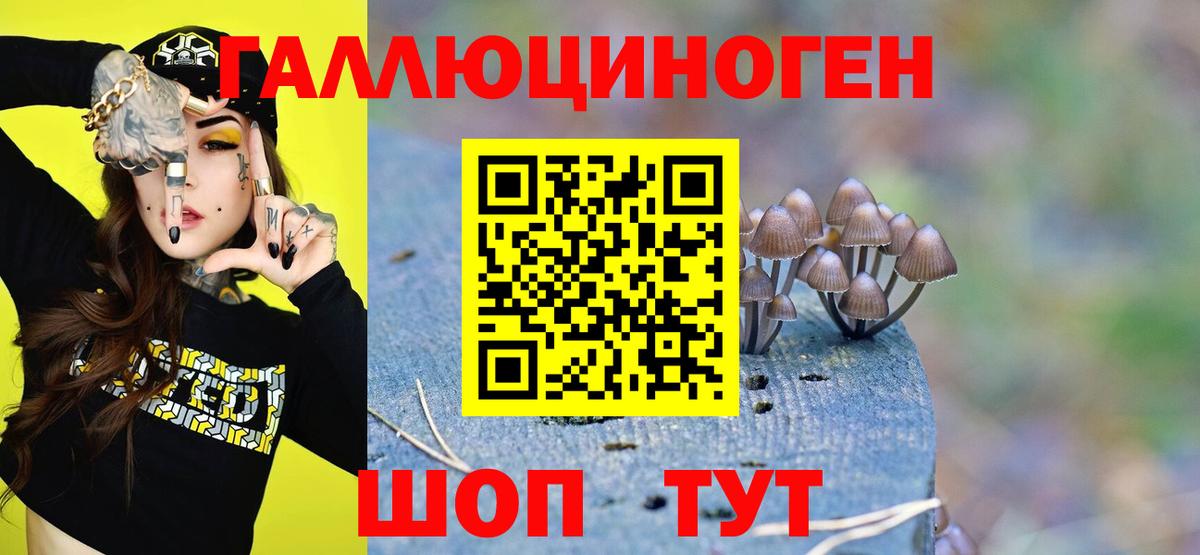 Псилоцибиновые грибы мицелий Астрахань